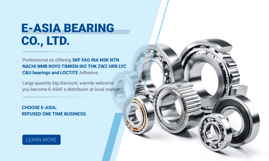 Wj1152 Slewing Bearing for San Excavator Parts