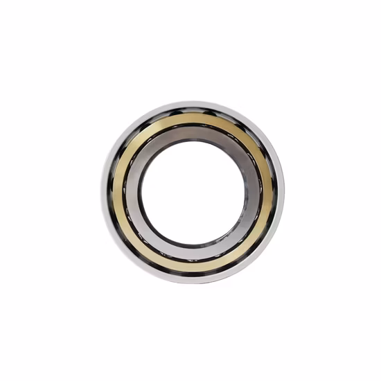 SKF Insocoat 베어링 절연 베어링 Nu313ecm/C3 Vl0241